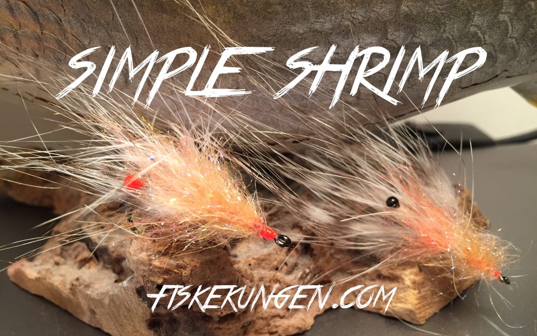 Simple shrimp